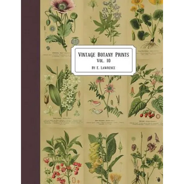 Vintage Botany Prints: Vol. 10 - Paperback