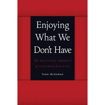 Enjoying What We Don't Have: The Political Project of Psychoanalysis - Paperback