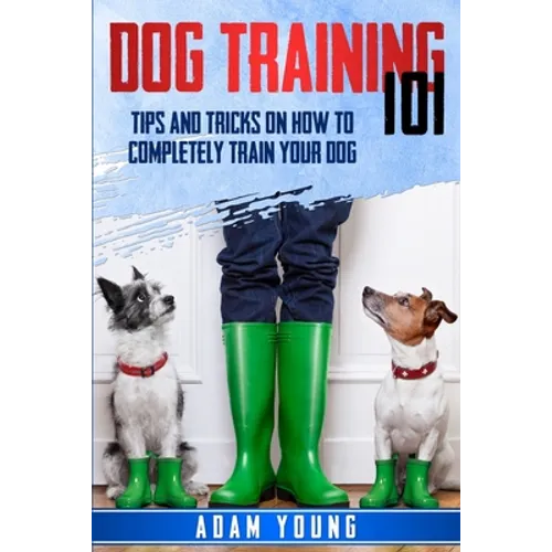 Dog Training 101: Tips and Tricks on How to Completely Train Your Dog