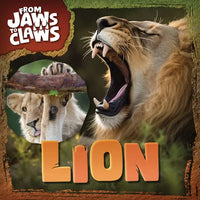 Lion - Paperback