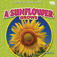 A Sunflower Grows - Paperback