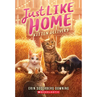 Kitten Delivery (Just Like Home, Book Two): Volume 2 - Paperback