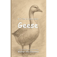 It's Time to Learn about Geese - Paperback