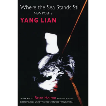 Where the Sea Stands Still - Paperback