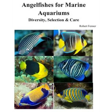 Angelfishes for Marine Aquariums: Diversity, Selection & Care - Paperback