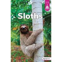 Sloths - Paperback