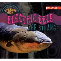 Electric Eels Are Strange - Library Binding