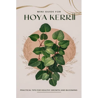 Mini Guide to Caring for Hoya Kerrii - Paperback