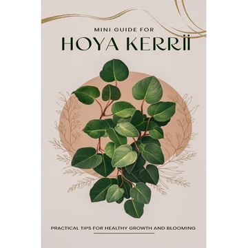 Mini Guide to Caring for Hoya Kerrii - Paperback