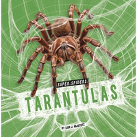 Tarantulas - Paperback