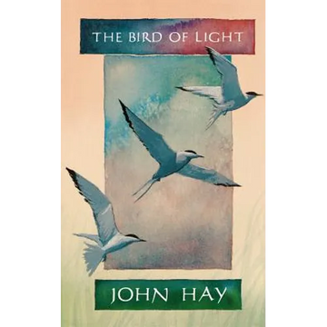 The Bird of Light - Paperback