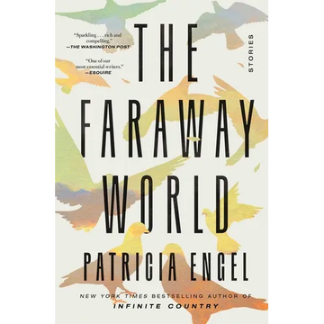 The Faraway World: Stories - Paperback