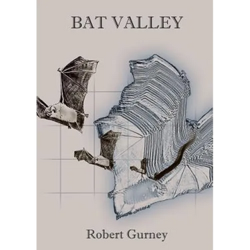 Bat Valley and Other Strange African Animal Stories - Paperback