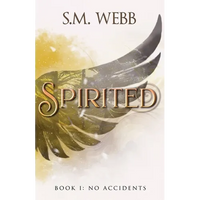 Spirited: Book 1: No Accidents - Paperback