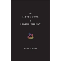 The Little Book of String Theory - Hardcover