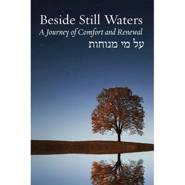 Beside Still Waters: A Journey of Comfort and Renewal - Paperback
