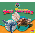 Sea Turtles