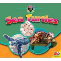 Sea Turtles - Paperback