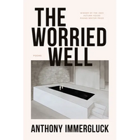 The Worried Well - Paperback