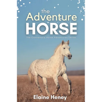 The Adventure Horse - Book 5 in the Connemara Horse Adventure Series for Kids - Paperback
