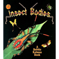 Insect Bodies - Paperback