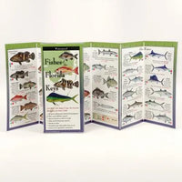 Fishes of the Florida Keys