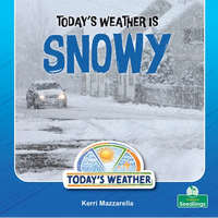 Today's Weather Is Snowy - Paperback