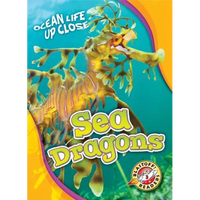 Sea Dragons - Library Binding