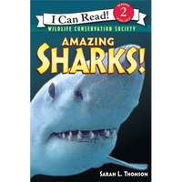 Amazing Sharks! - Paperback