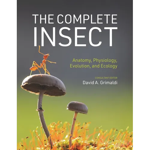 The Complete Insect: Anatomy, Physiology, Evolution, and Ecology