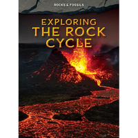 Exploring the Rock Cycle - Library Binding