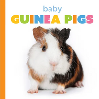 Baby Guinea Pigs - Paperback