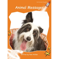 Animal Messages - Paperback