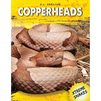Copperheads - Library Binding