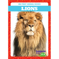 Lions - Library Binding