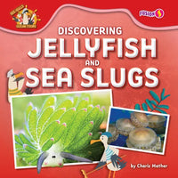 Discovering Jellyfish and Sea Slugs - Library Binding