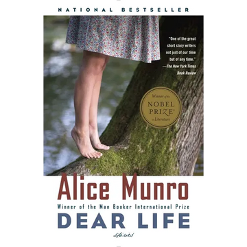 Dear Life: Stories - Paperback