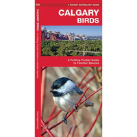 Calgary Birds: A Folding Pocket Guide to Familiar Species - Paperback