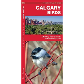 Calgary Birds: A Folding Pocket Guide to Familiar Species - Paperback