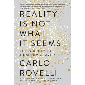 Reality Is Not What It Seems: The Journey to Quantum Gravity - Paperback