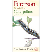 Peterson First Guide to Caterpillars of North America - Paperback