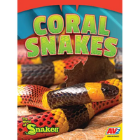 Coral Snakes - Paperback