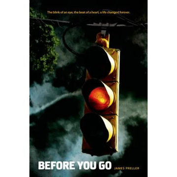 Before You Go - Paperback