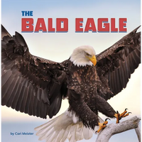The Bald Eagle - Paperback