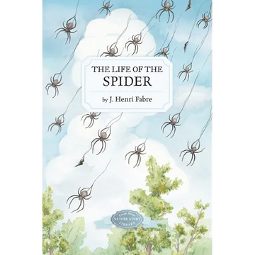 The Life of the Spider - Paperback