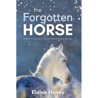 The Forgotten Horse - Book 1 in the Connemara Horse Adventure Series for Kids. The perfect gift for children age 8-12. - Paperback