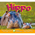 Hippo