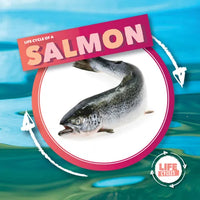 Life Cycle of Salmon - Library Binding