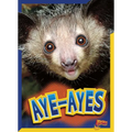Aye-Ayes