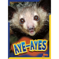 Aye-Ayes - Paperback